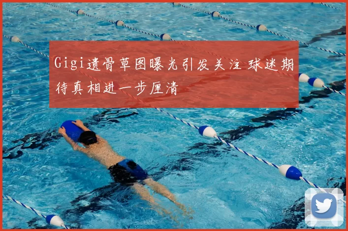 Gigi遗骨草图曝光引发关注 球迷期待真相进一步厘清